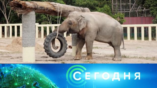 2 декабря 2020 года. 13:00