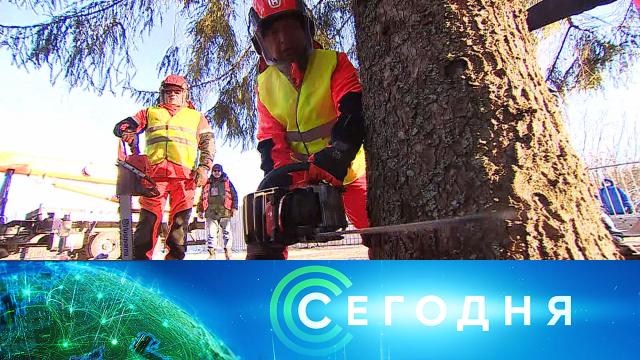 9 декабря 2020 года. 13:00