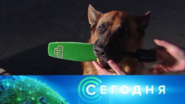 14 декабря 2020 года. 08:00