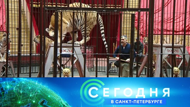 25 марта 2020 года. 19:20