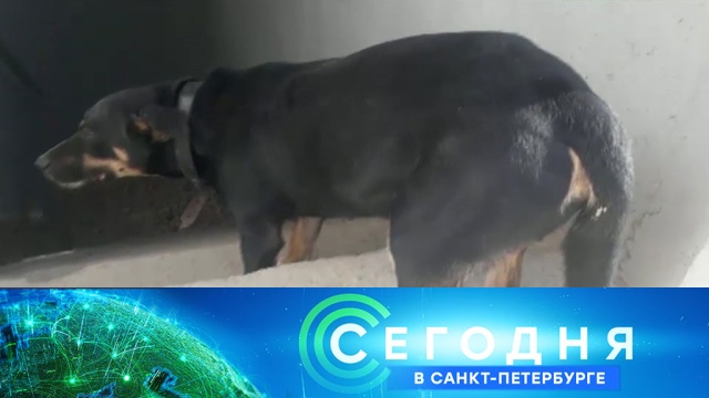 7 апреля 2020 года. 19:20