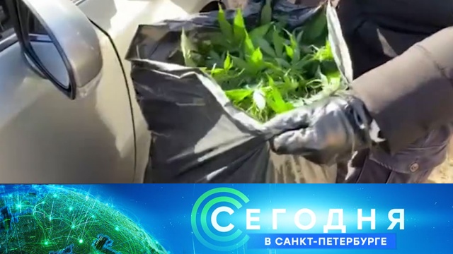 22 апреля 2020 года. 16:15