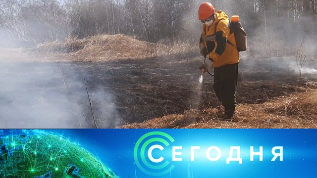 14 мая 2020 года. 08:00