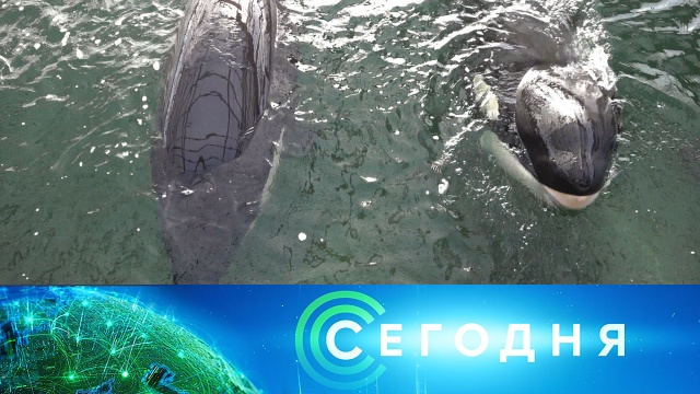 17 мая 2020 года. 16:00