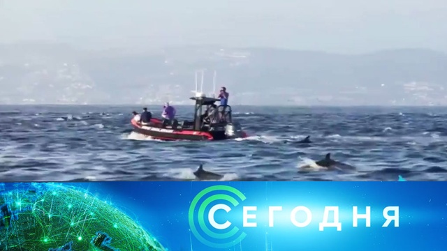 19 мая 2020 года. 23:00