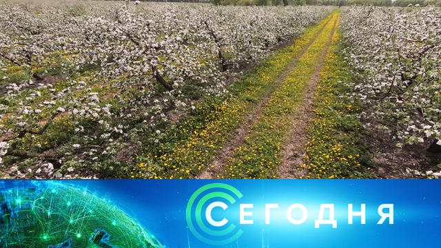 20 мая 2020 года. 08:00