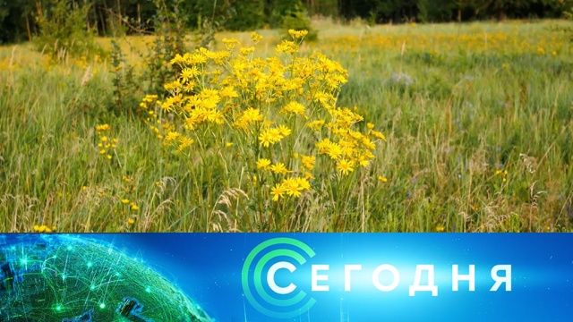 28 мая 2020 года. 13:00