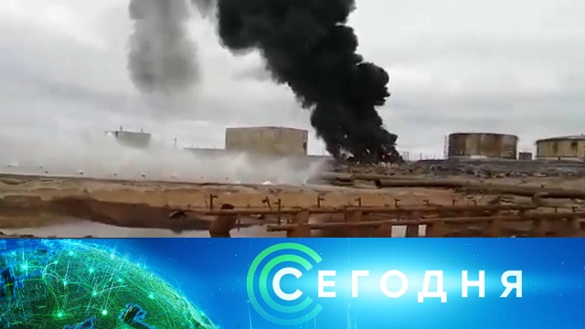 29 мая 2020 года. 16:00