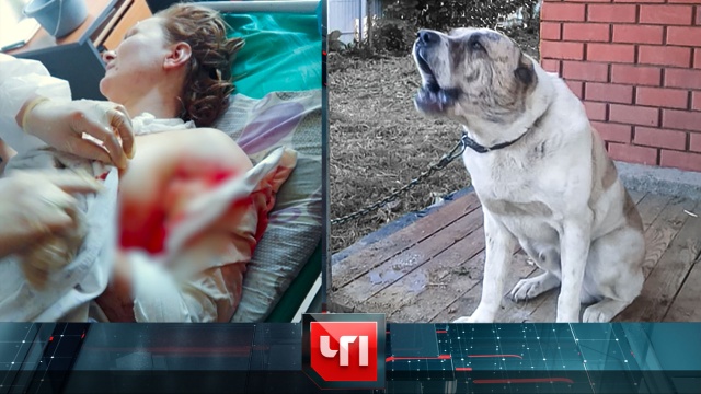 29 июня 2020 года