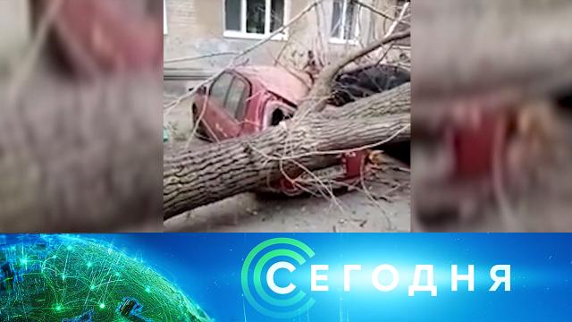 1 октября 2020 года. 10:00