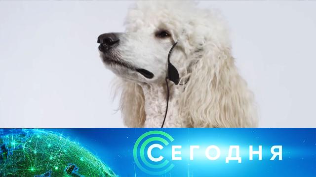 2 октября 2020 года. 16:00