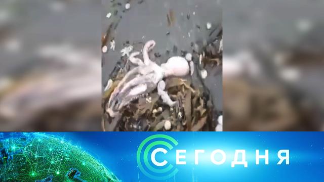 3 октября 2020 года. 16:00