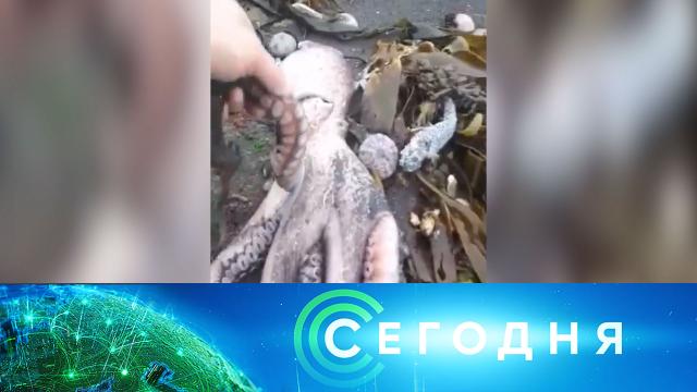 5 октября 2020 года. 10:00