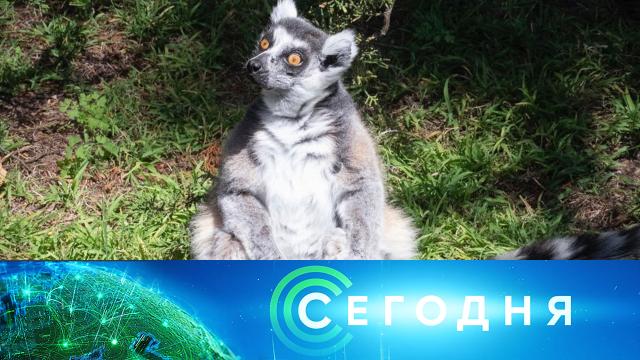 19 октября 2020 года. 16:00