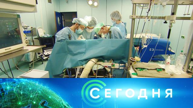 20 октября 2020 года. 13:00