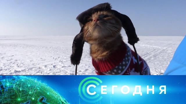 24 января 2021 года. 10:00