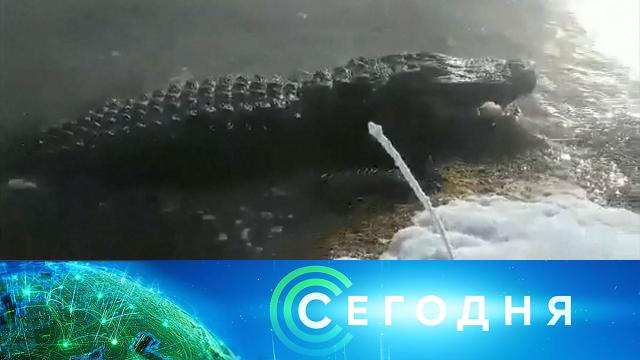 28 января 2021 года. 23:30