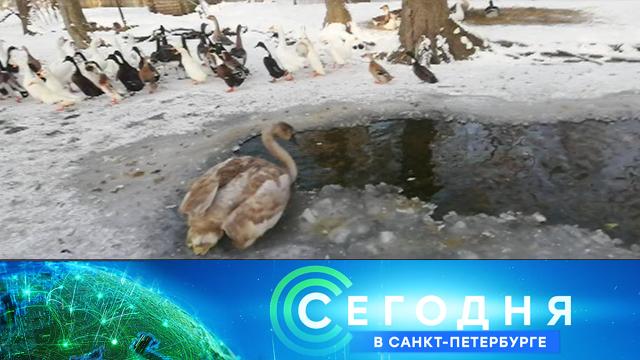 11 февраля 2021 года. 19:20