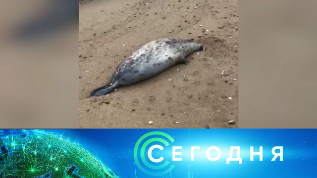 16 февраля 2021 года. 13:00