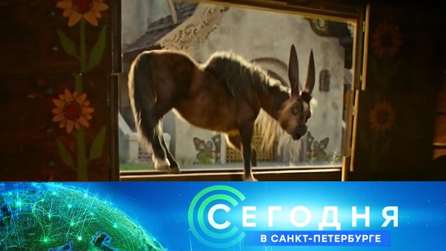 18 февраля 2021 года. 19:20