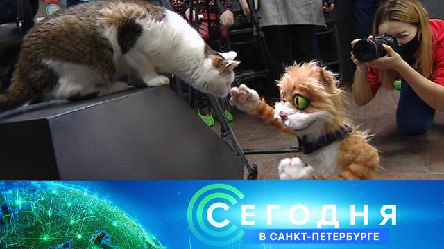 1 марта 2021 года. 19:20