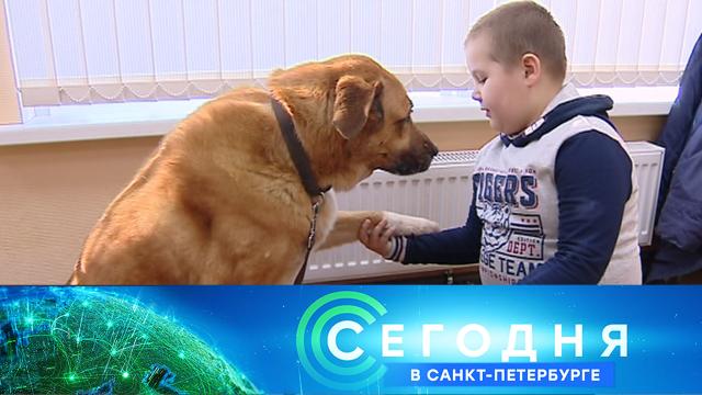 29 марта 2021 года. 19:20