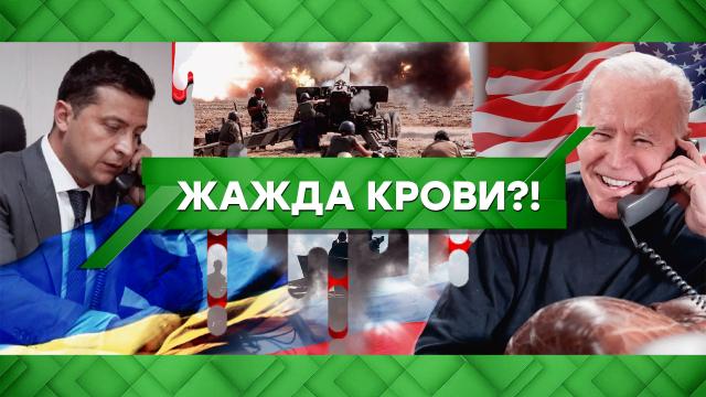 Жажда крови?!