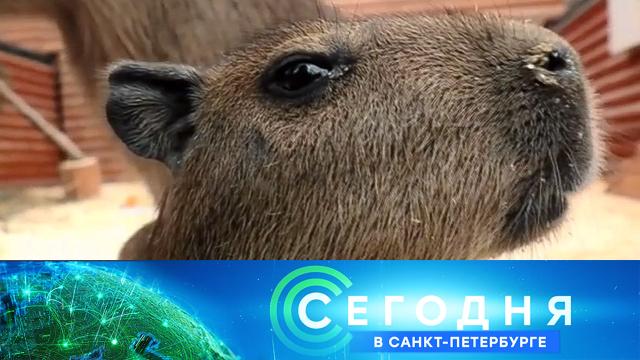 5 апреля 2021 года. 16:15