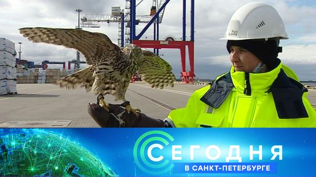 28 апреля 2021 года. 19:20