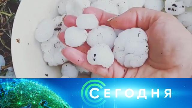 18 мая 2021 года. 08:00