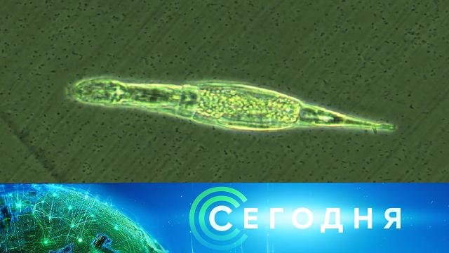 8 июня 2021 года. 16:00