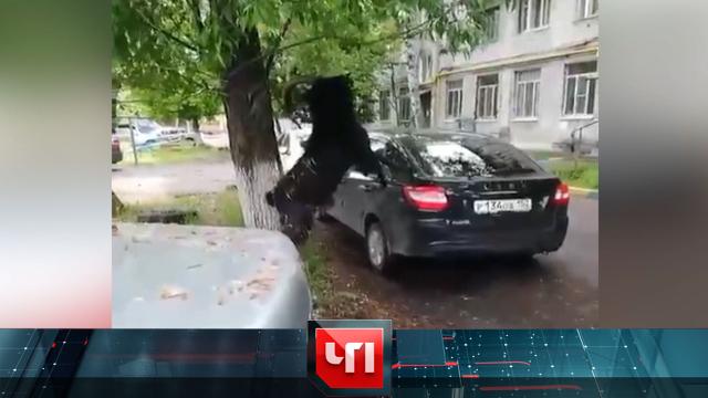 11 июня 2021 года