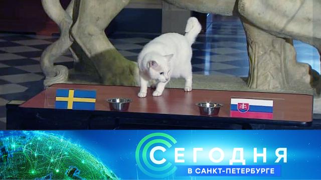 18 июня 2021 года. 16:15