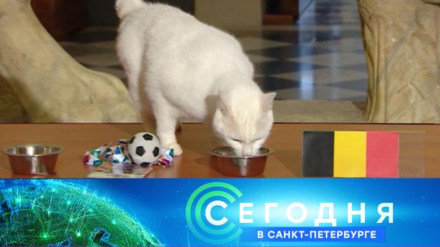 21 июня 2021 года. 16:15