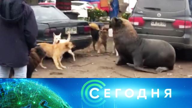 27 июня 2021 года. 16:00