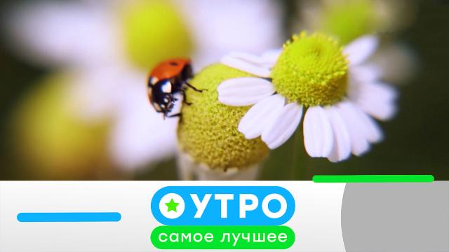 7 июля 2021 года