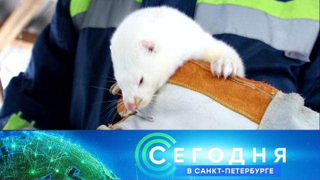 9 июля 2021 года. 19:20