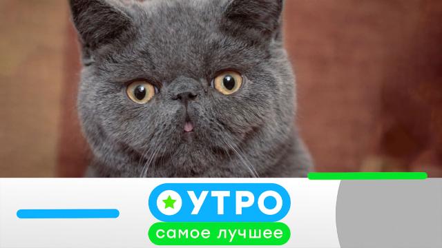 13 июля 2021 года