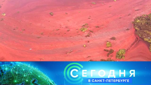 19 июля 2021 года. 19:20