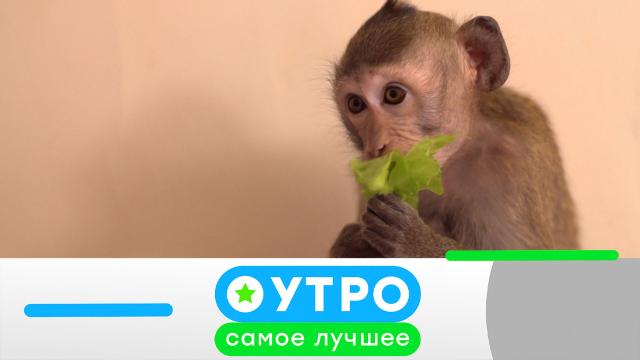 22 июля 2021 года