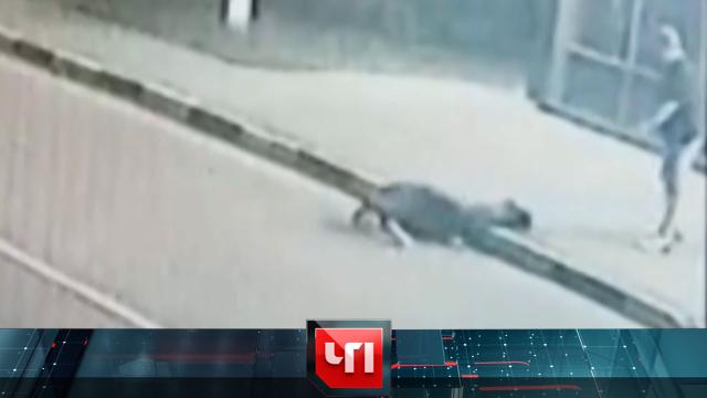 29 июля 2021 года