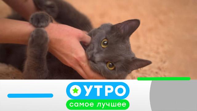 4 августа 2021 года