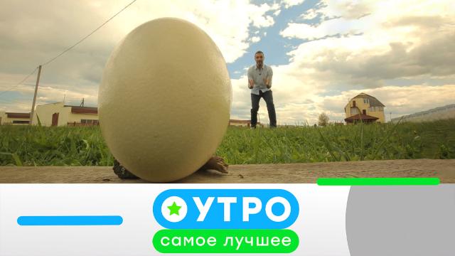 5 августа 2021 года