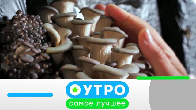 10 августа 2021 года