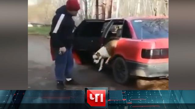 12 ноября 2021 года