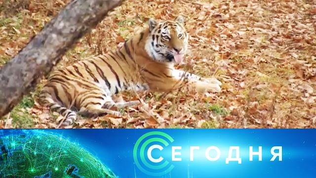 14 ноября 2021 года. 16:00