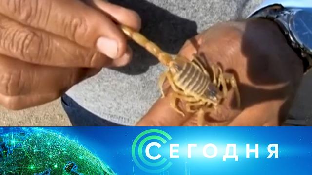 15 ноября 2021 года. 10:00