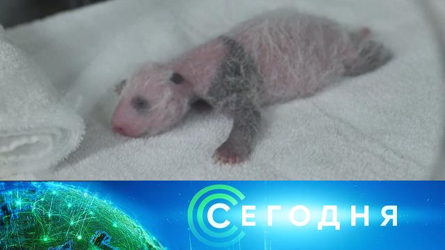 19 ноября 2021 года. 13:00