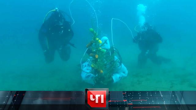 30 декабря 2021 года