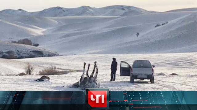 13 января 2022 года